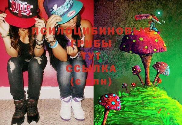 шишки Гусь-Хрустальный