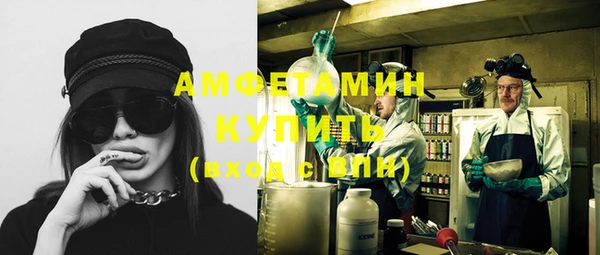шишки Гусь-Хрустальный