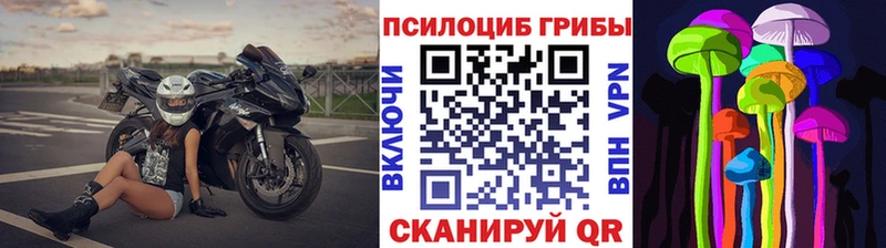 магазин    Ковылкино  Псилоцибиновые грибы мухоморы 